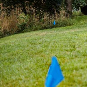 Blue flags in park for flag capture game