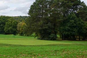 Parkland grass area next to trees and forest