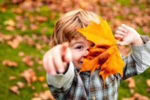 Small boy holding autumnal maple leaf